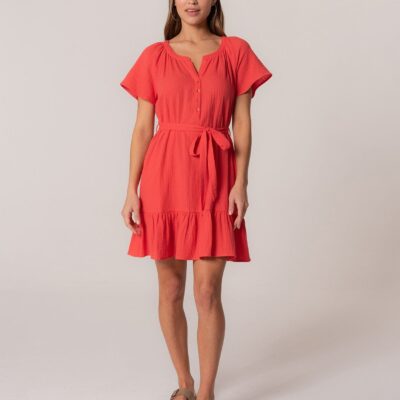 Sudie Mini Dress