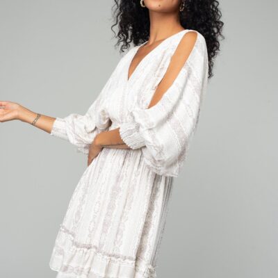 Corinne Split Sleeve Mini Dress